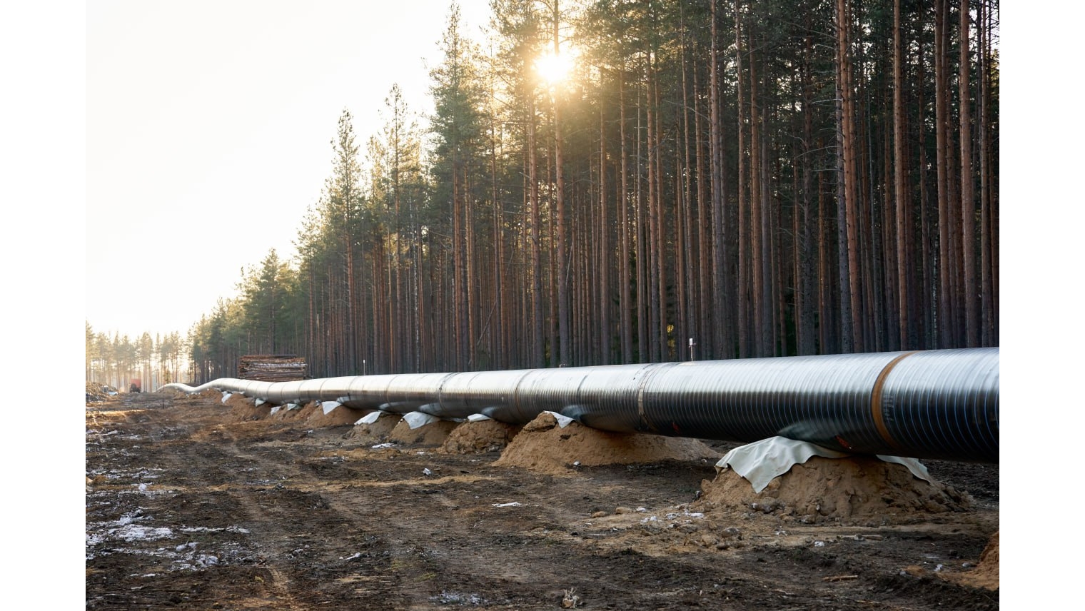 Строительство Силы Сибири 2 - новый масштабный проект Газпрома