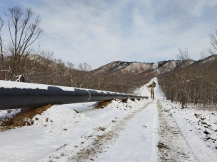​Проектирование газопровода-отвода и  ГРС Большой Камень в Приморском крае